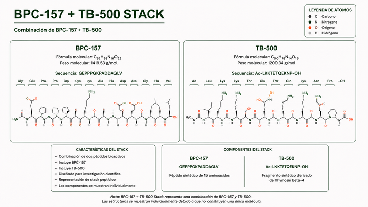 BPC-157 + TB-500